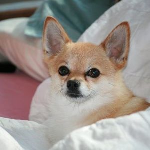 Meet your Posher, Malinda